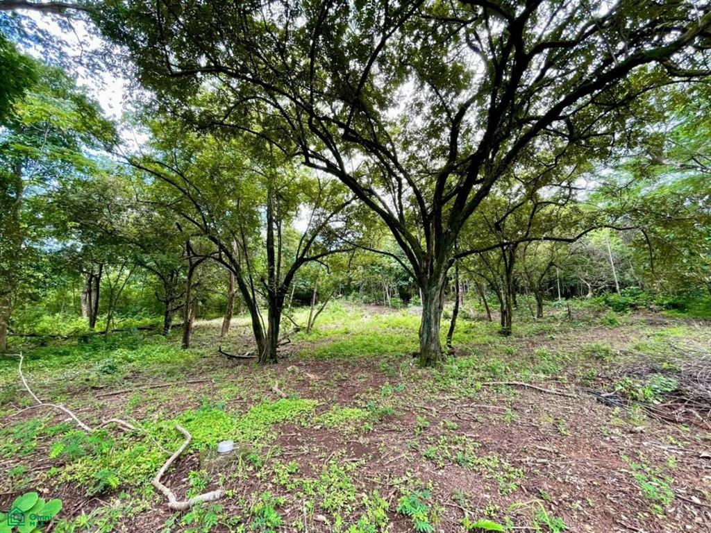 Salanitas Lot , Playa Grande, Guanacaste
