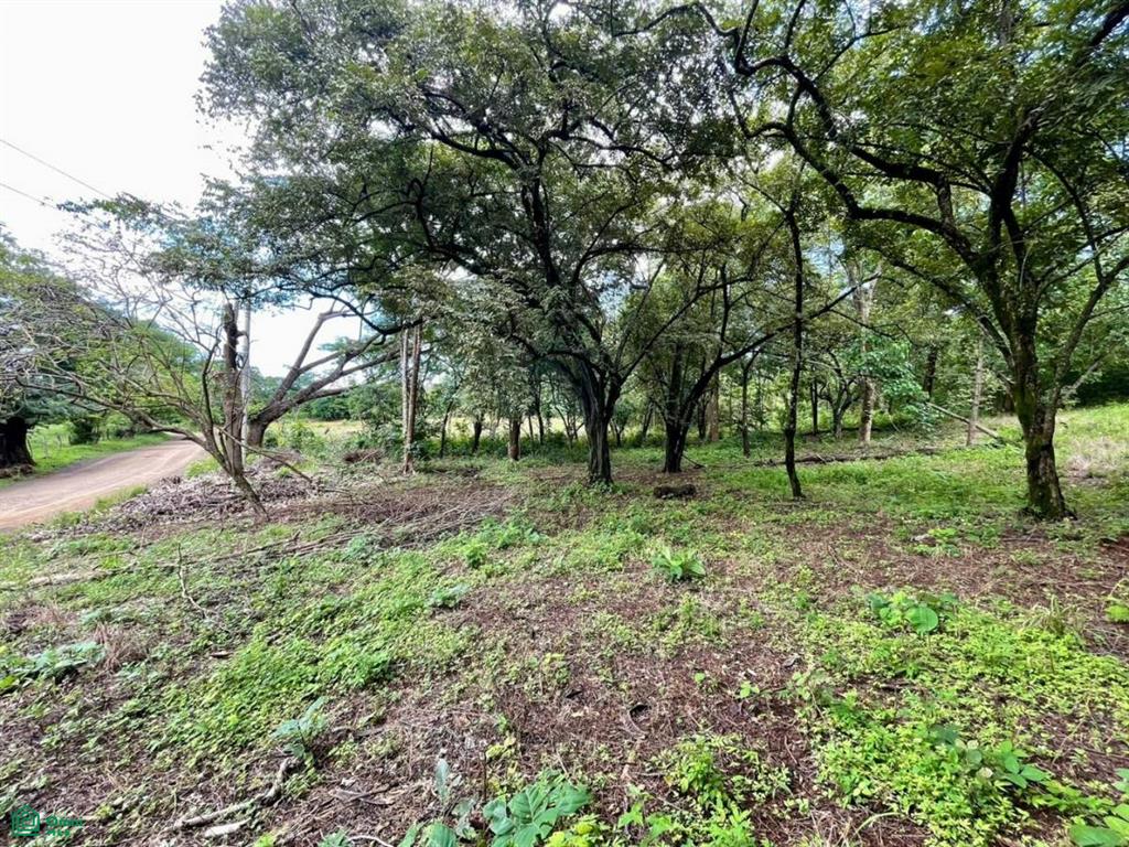 Salanitas Lot , Playa Grande, Guanacaste