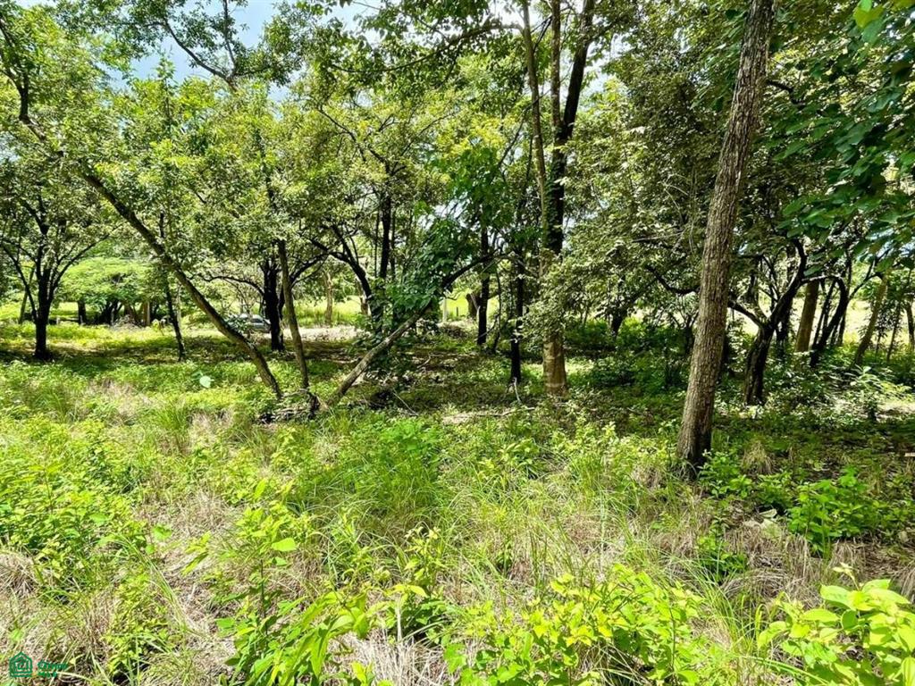Salanitas Lot , Playa Grande, Guanacaste