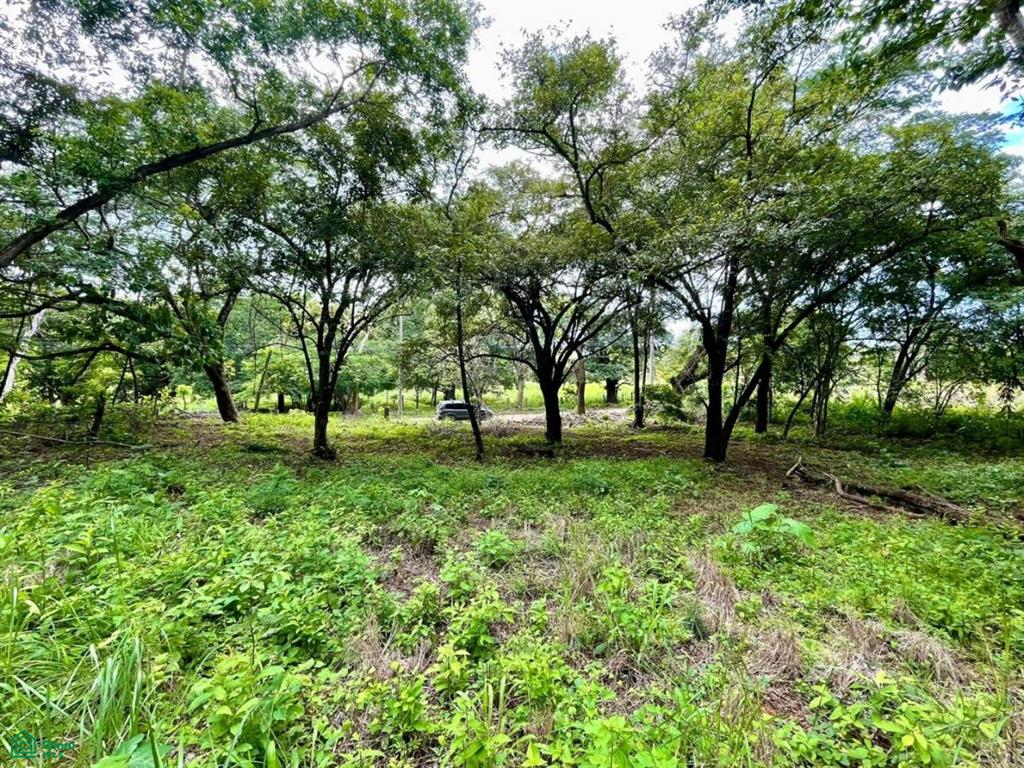 Salanitas Lot , Playa Grande, Guanacaste