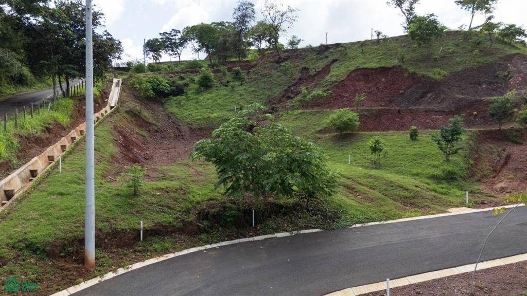 Alma Verde Lot 11 , Huacas, Guanacaste