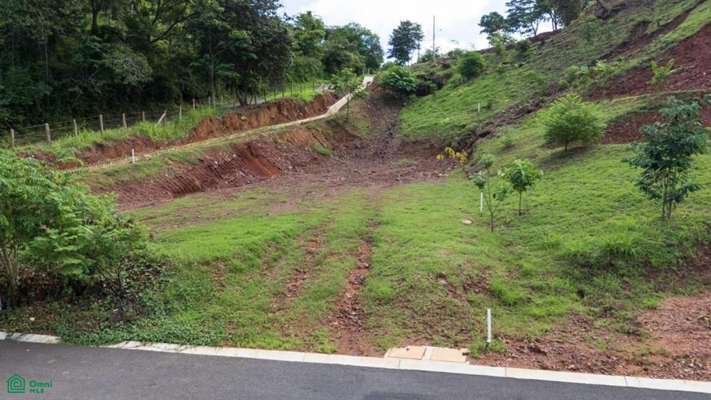 Alma Verde Lot 11 , Huacas, Guanacaste