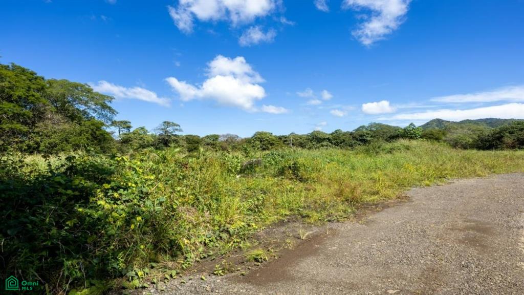 Los Jobos Lot 2 , Tamarindo, Guanacaste