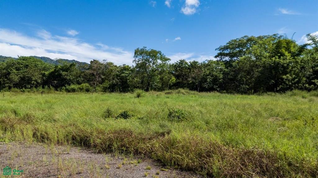 Rio Caballo Lot 3:  Expansive 5,000 m² Lot inMatapalo