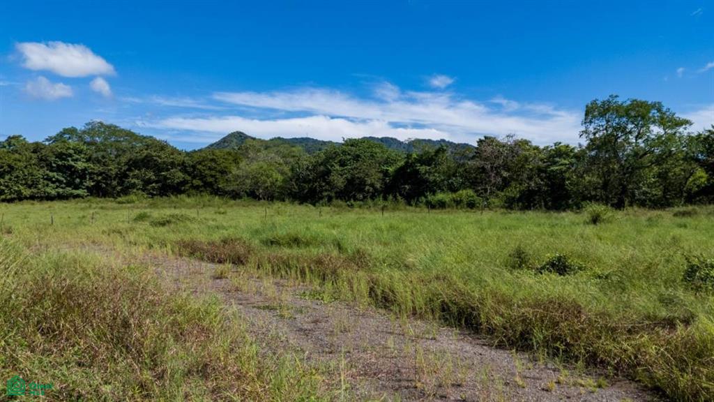 Rio Caballo Lot 3:  Expansive 5,000 m² Lot inMatapalo