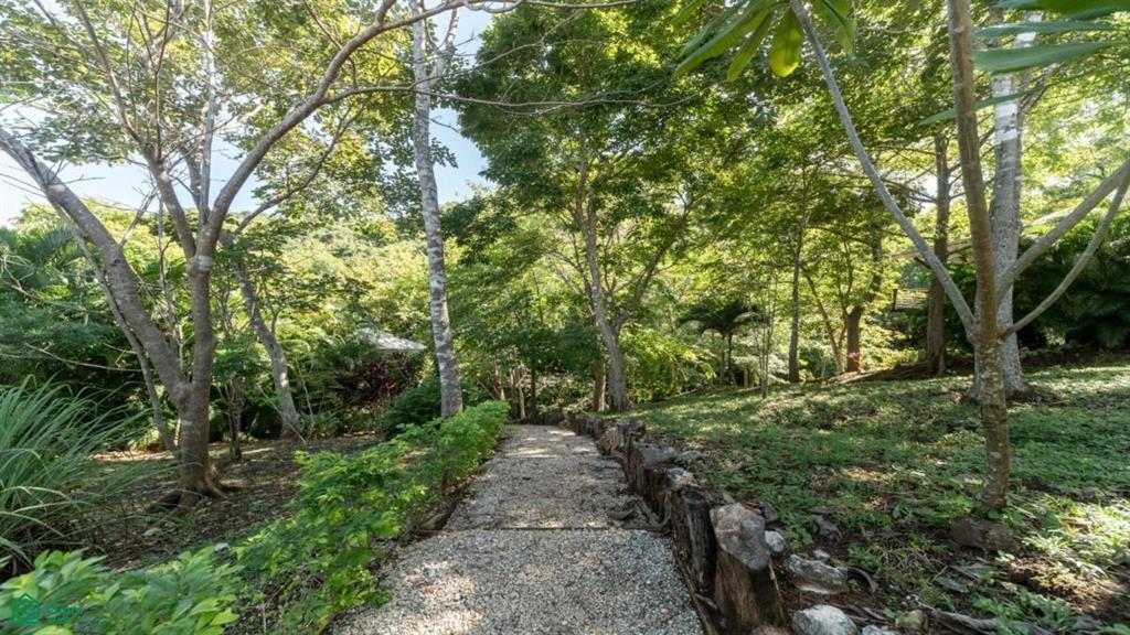 Mikado Natural Lodge , Tamarindo, Guanacaste