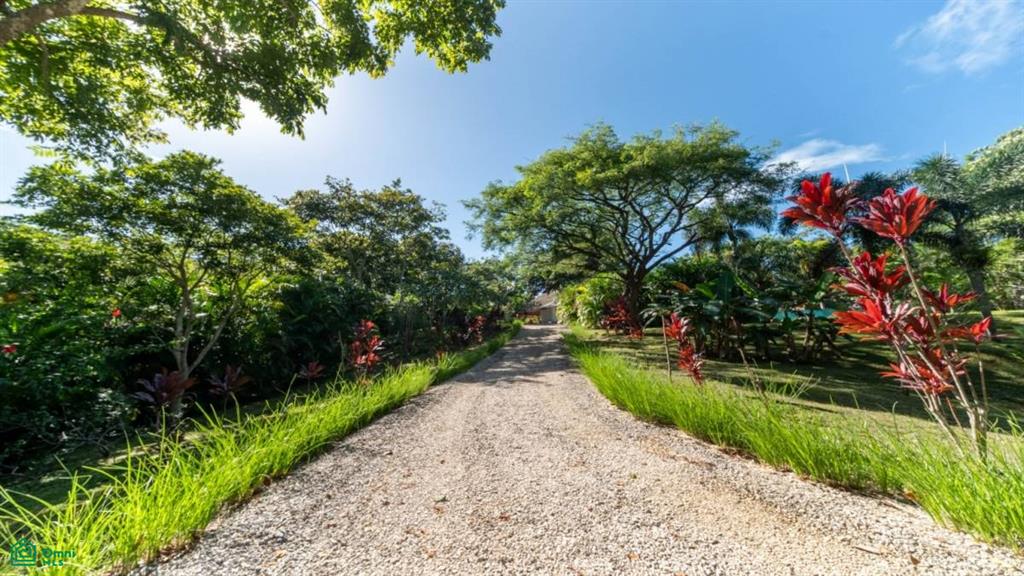 Mikado Natural Lodge , Tamarindo, Guanacaste