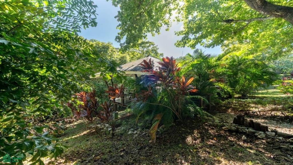 Mikado Natural Lodge , Tamarindo, Guanacaste