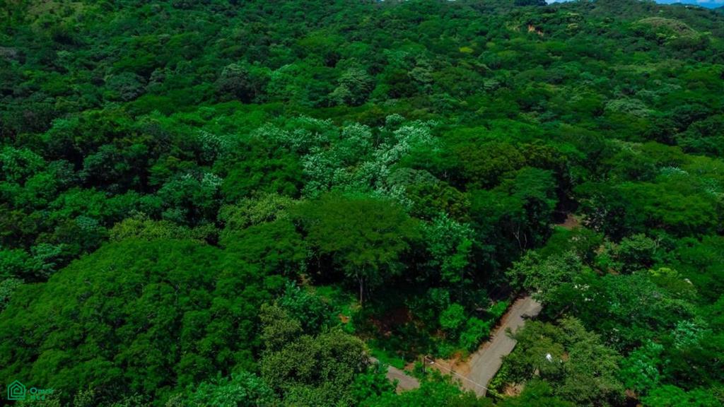 Three Lots in Santa Rosa , Tamarindo, Guanacaste