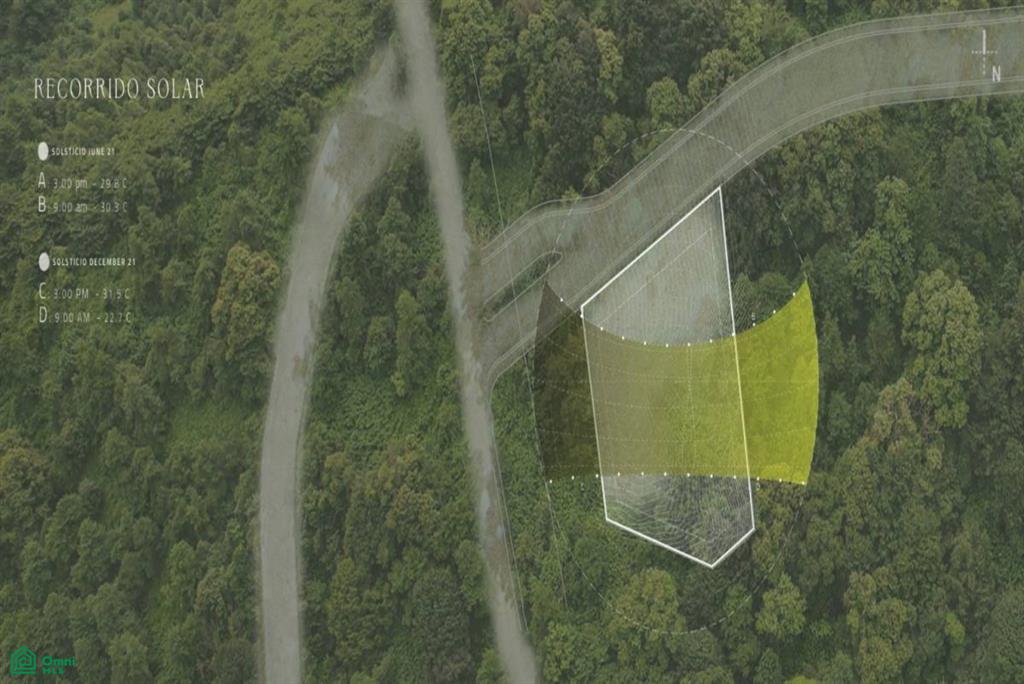 Laurel #27 , Reserva Conchal, Guanacaste