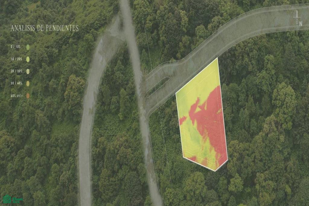 Laurel #27 , Reserva Conchal, Guanacaste