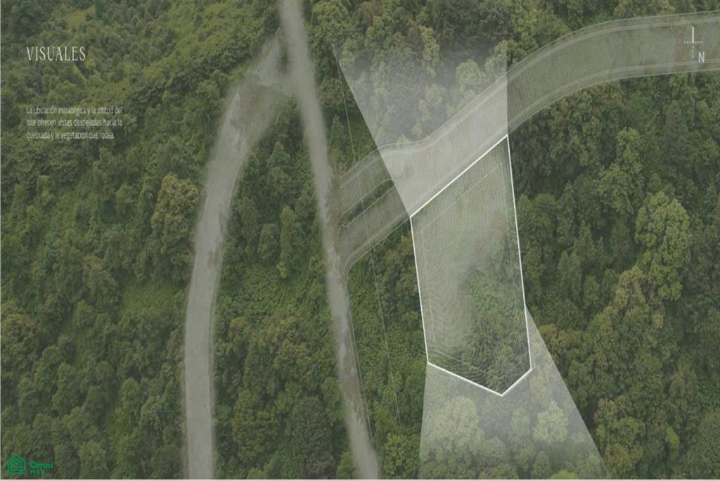 Laurel #27 , Reserva Conchal, Guanacaste