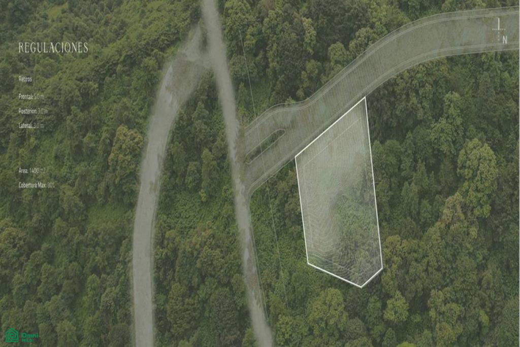 Laurel #27 , Reserva Conchal, Guanacaste