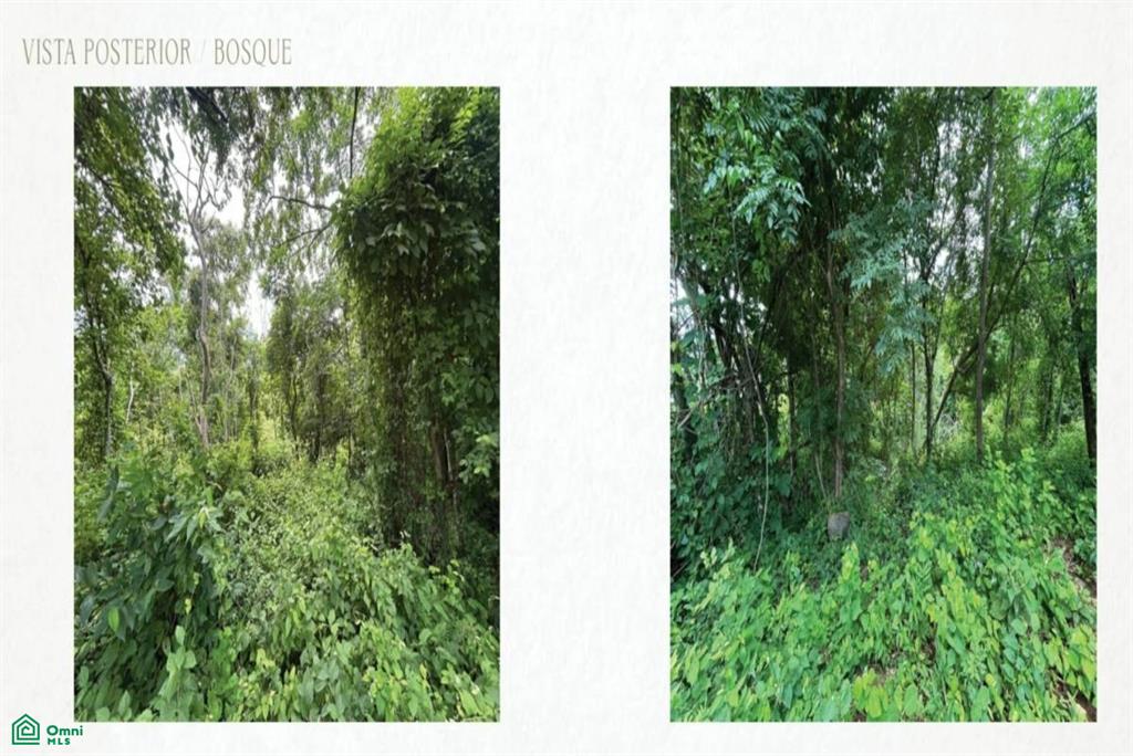 Laurel #27 , Reserva Conchal, Guanacaste