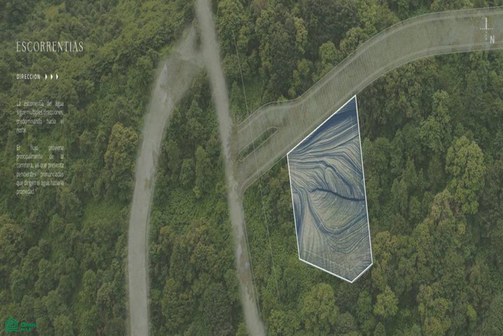 Laurel #27 , Reserva Conchal, Guanacaste