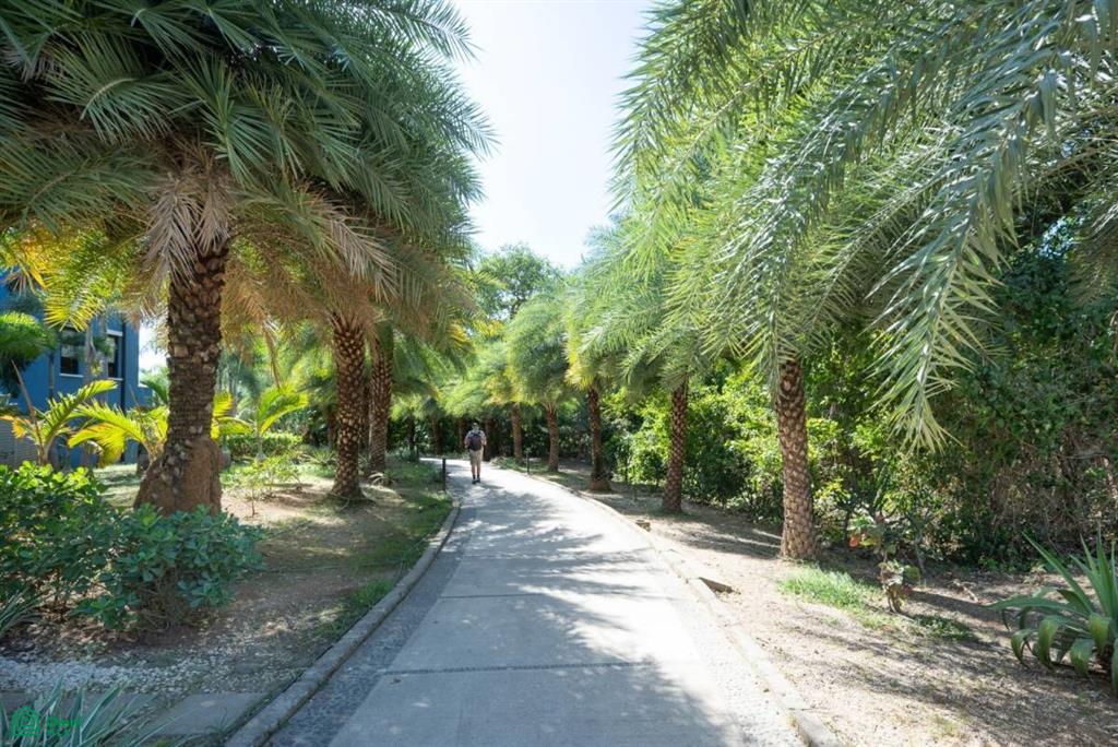 El Prado Lot 18 , Tempate, Guanacaste