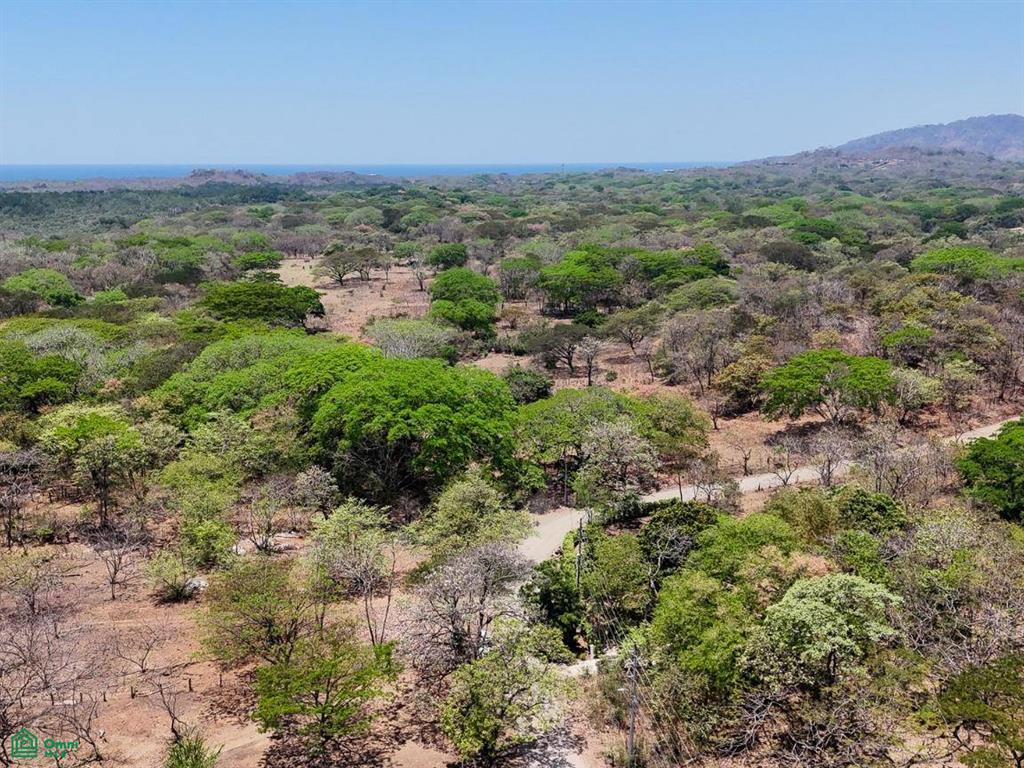 Casa Mango , Tamarindo, Guanacaste