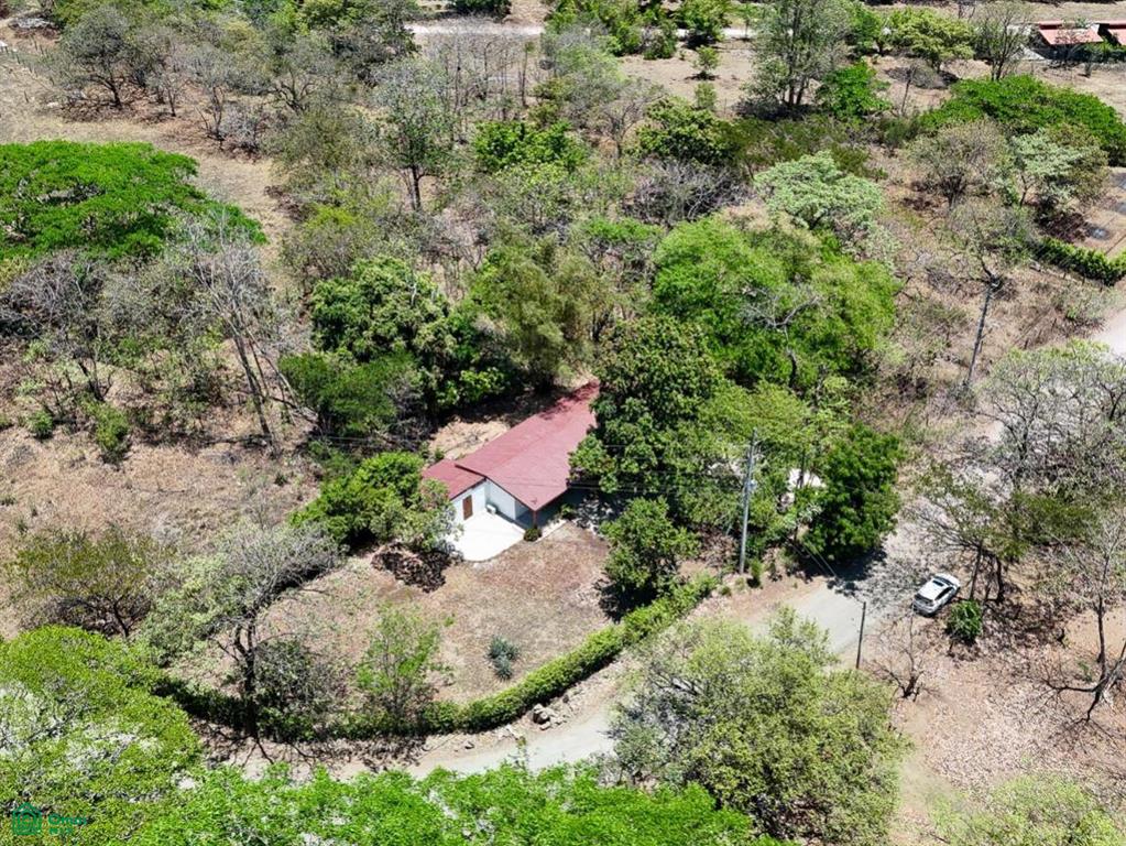Casa Mango , Tamarindo, Guanacaste