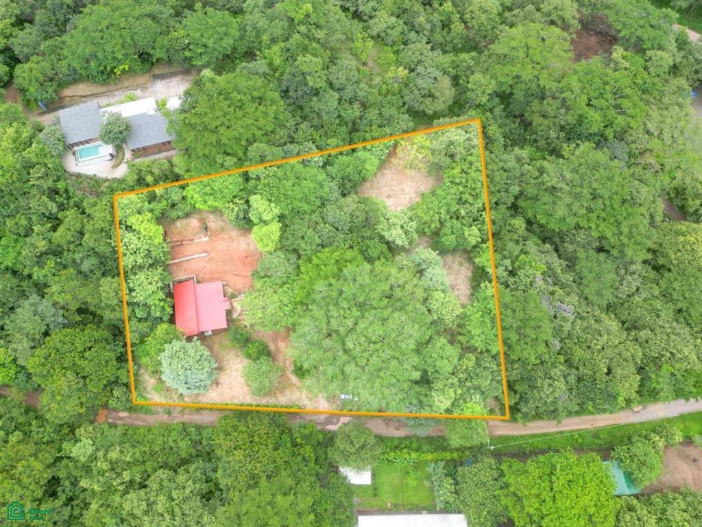 Casa de Madera & Casa Hobbit, Villareal, Black Stallion , Tamarindo, Guanacaste
