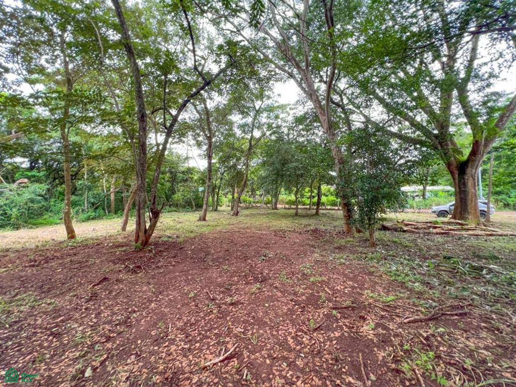 Casa de Madera & Casa Hobbit, Villareal, Black Stallion , Tamarindo, Guanacaste