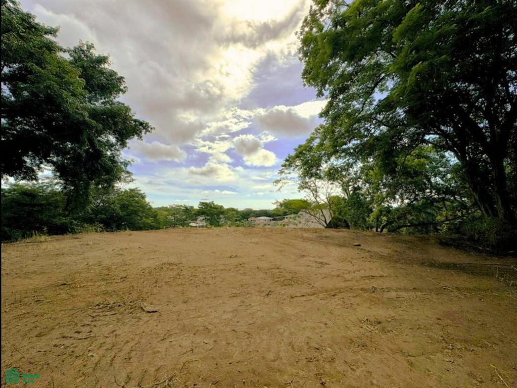 Amazing Ocean View Lots in Tamarindo , Tamarindo, Guanacaste