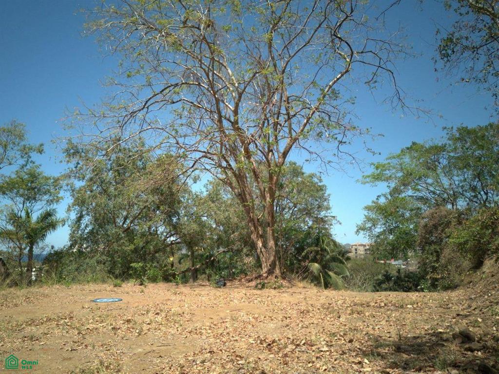 Amazing Ocean View Lots in Tamarindo , Tamarindo, Guanacaste