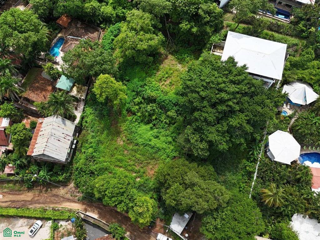 Amazing Ocean View Lots in Tamarindo , Tamarindo, Guanacaste