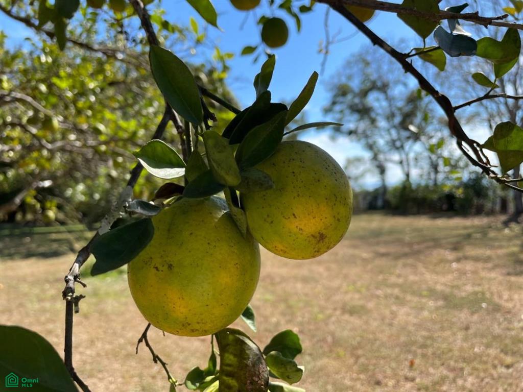 Lot #2 in Río Seco Miramar , Miramar, Montes De Oro, Puntarenas