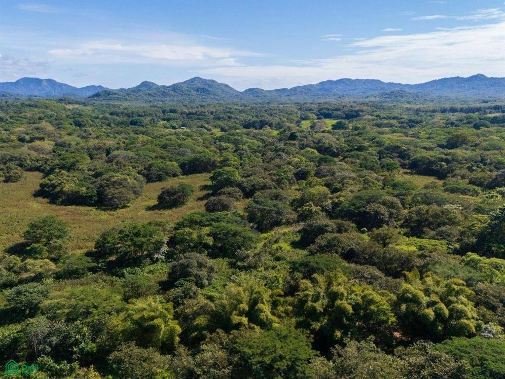 Casa Armonia Las Brisas 58 , Tamarindo, Guanacaste