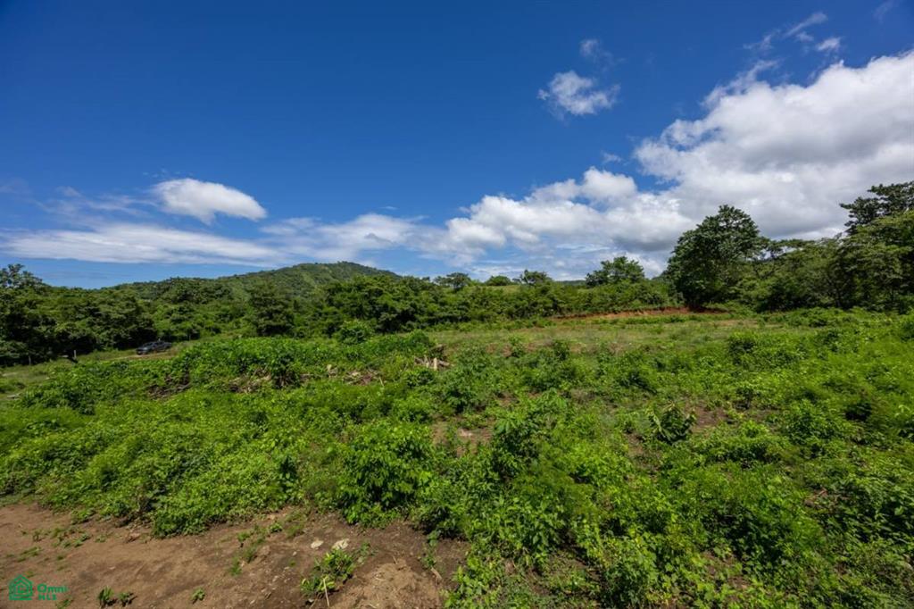 Lot Norte: Flat 5,000 m² Property with Views & Building Permit
