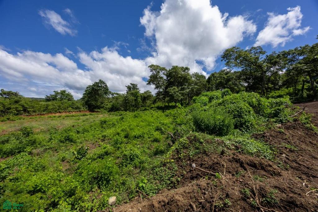 Lot Norte: Flat 5,000 m² Property with Views & Building Permit