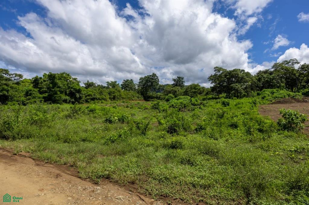 Lot Norte: Flat 5,000 m² Property with Views & Building Permit