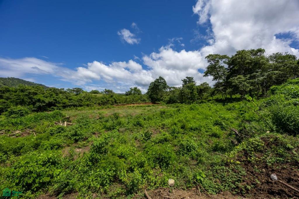 Lot Norte: Flat 5,000 m² Property with Views & Building Permit