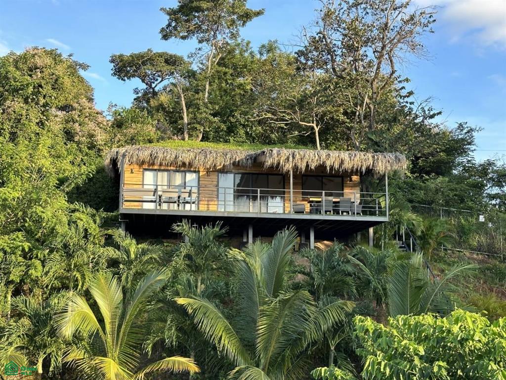 Cocoon , Tamarindo, Guanacaste