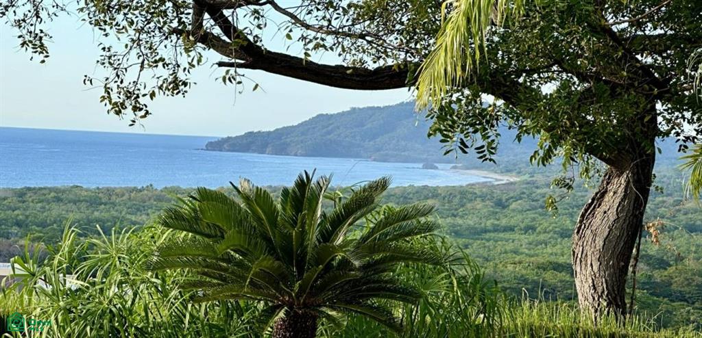 Cocoon , Tamarindo, Guanacaste