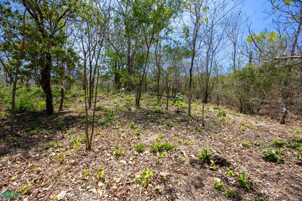 Playa Grande Lot 3 , Playa Grande, Guanacaste