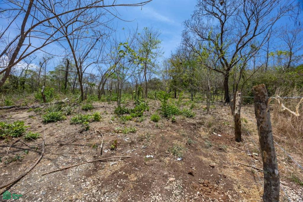 Playa Grande Lot 3 , Playa Grande, Guanacaste