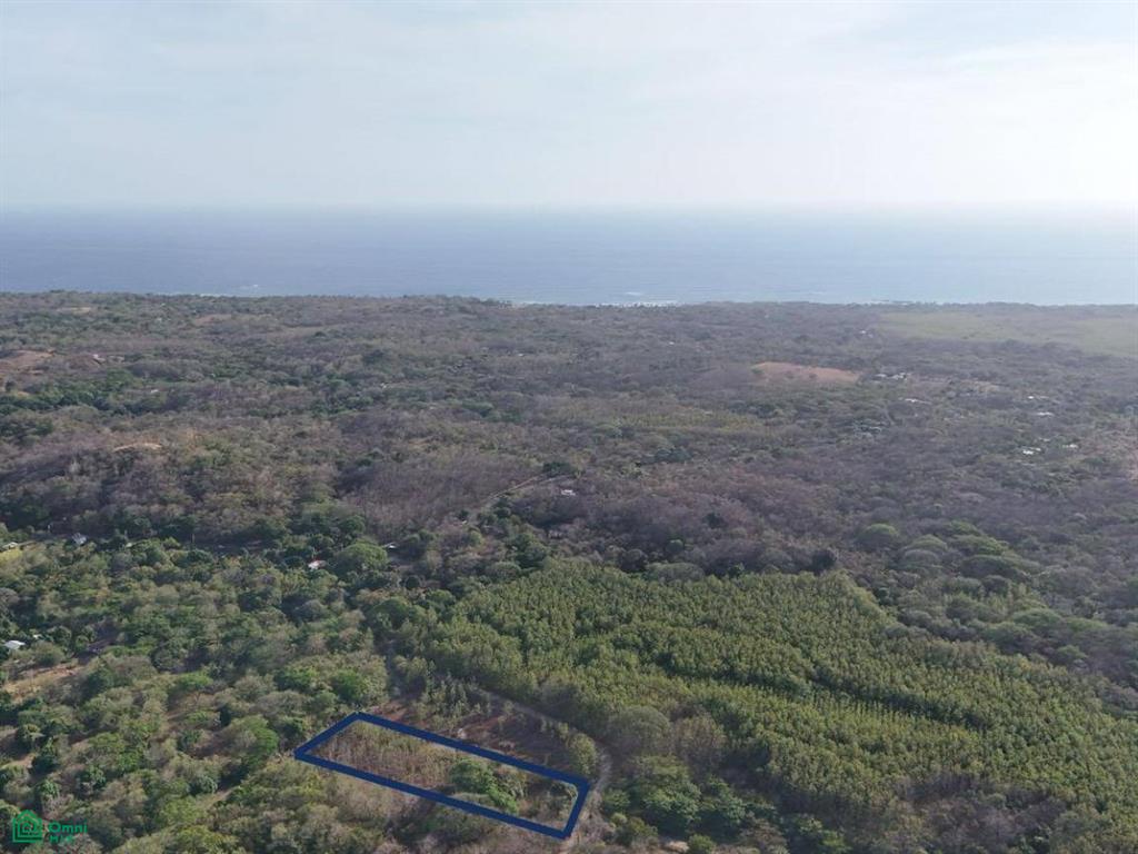 Paraiso Farm