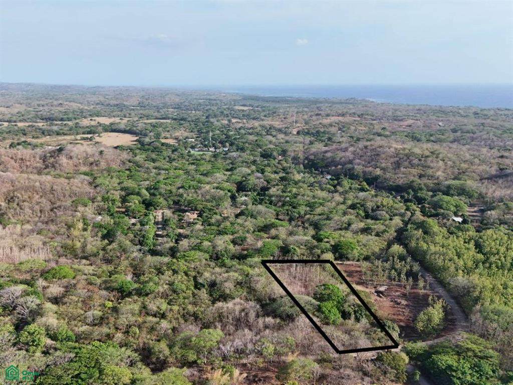 Paraiso Farm