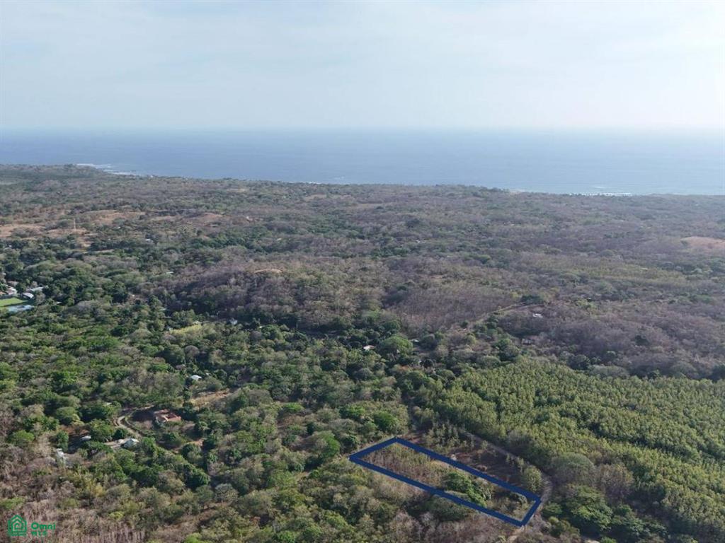 Paraiso Farm