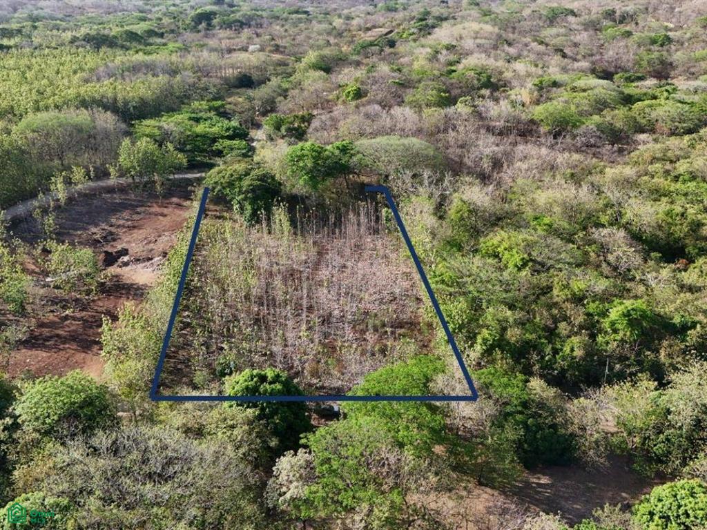 Paraiso Farm