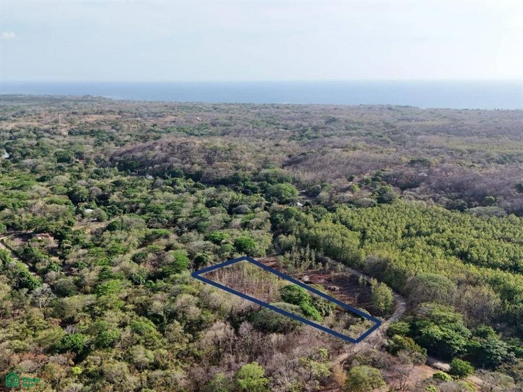 Paraiso Farm