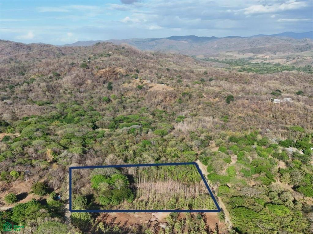 Paraiso Farm