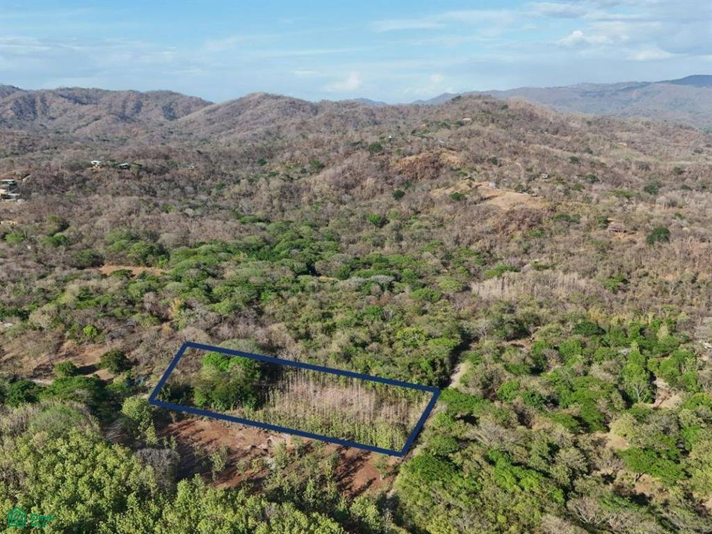 Paraiso Farm