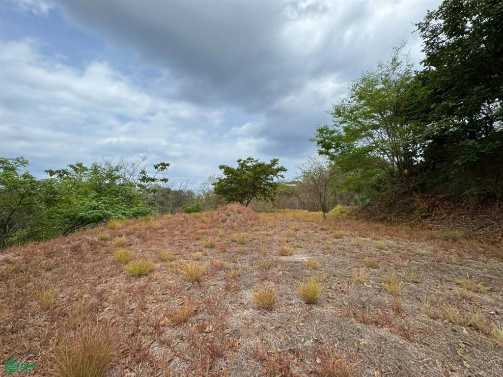 Lomas del Sol Lot #49