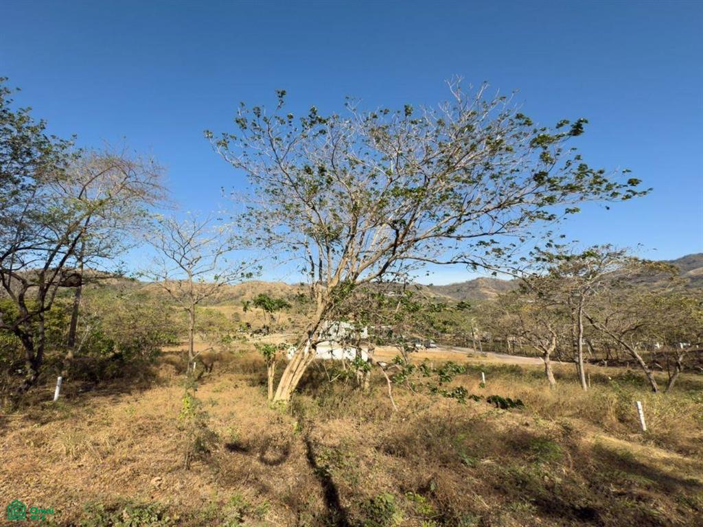 Flamingo Lot 6 Lot + Building Plans , Playa Flamingo, Guanacaste