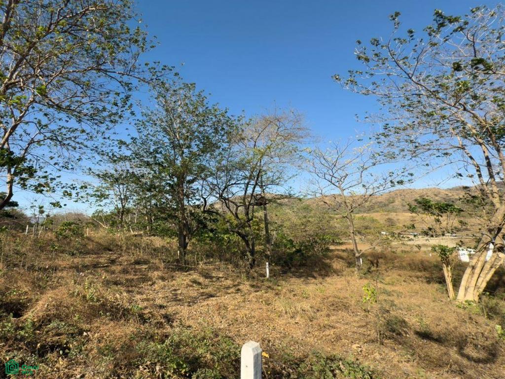 Flamingo Lot 6 Lot + Building Plans , Playa Flamingo, Guanacaste