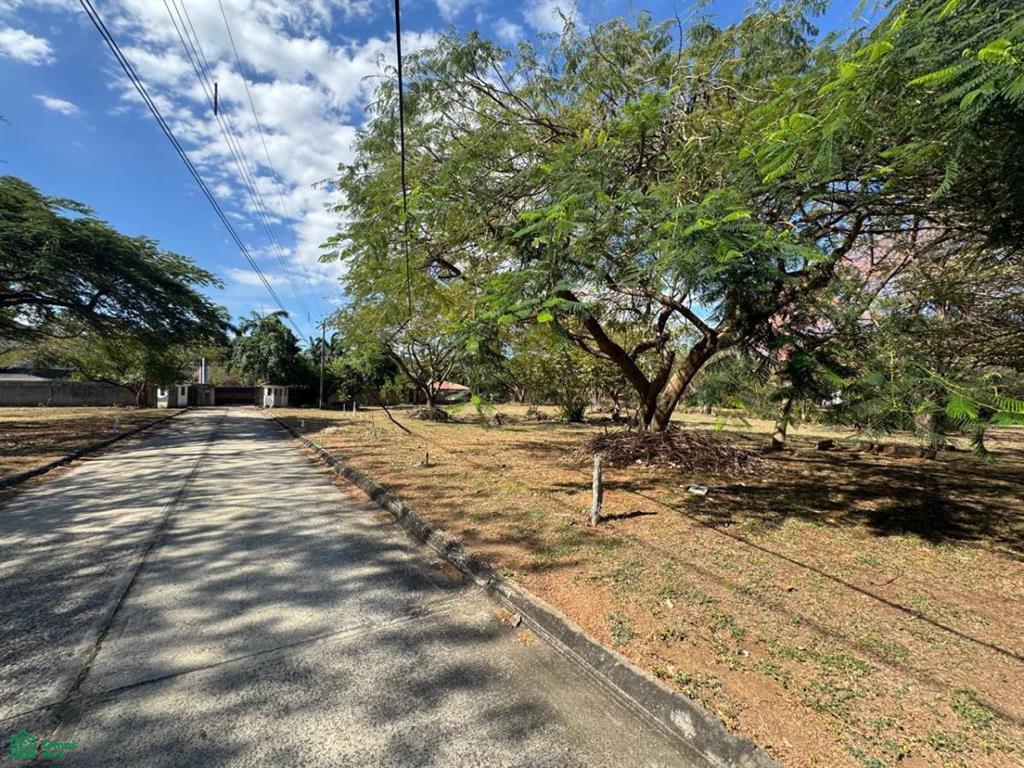 Lot #48 – Tranquil 940 m² Lot Surrounded by Nature in a Growing Coastal Community