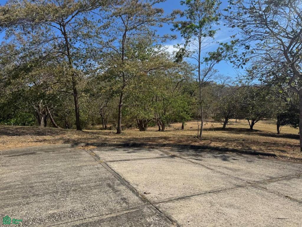 Lot #48 – Tranquil 940 m² Lot Surrounded by Nature in a Growing Coastal Community
