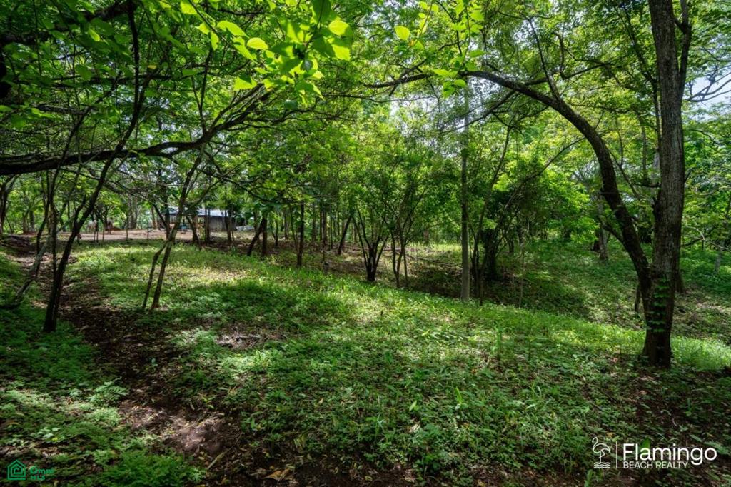 Junquillal Lot , Playa Junquillal, Guanacaste